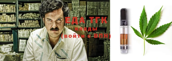 гидра Абаза