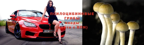 гидра Абаза