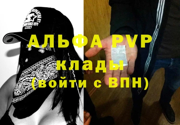 гидра Абаза