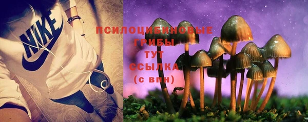 гидра Абаза